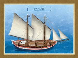 Γατζάο με αρματωσιά Μπρατσέρας – Καμβάς