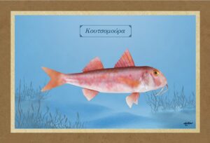 ΚΟΥΤΣΟΜΟΥΡΑ – Καμβάς