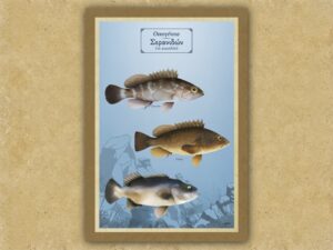 Οικογένεια Σερανιδών (τα ρωμαλέα) – Καμβάς