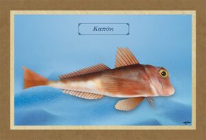 ΚΑΠΟΝΙ – Καμβάς